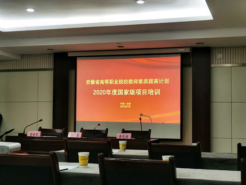 合肥信息學院新媒體藝術系教師參加國培“廣播影視節目制作”項目，深化專業素養與教學創新
